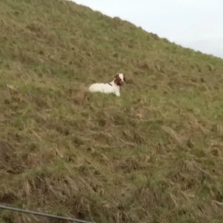 Beim Andi * Stockach