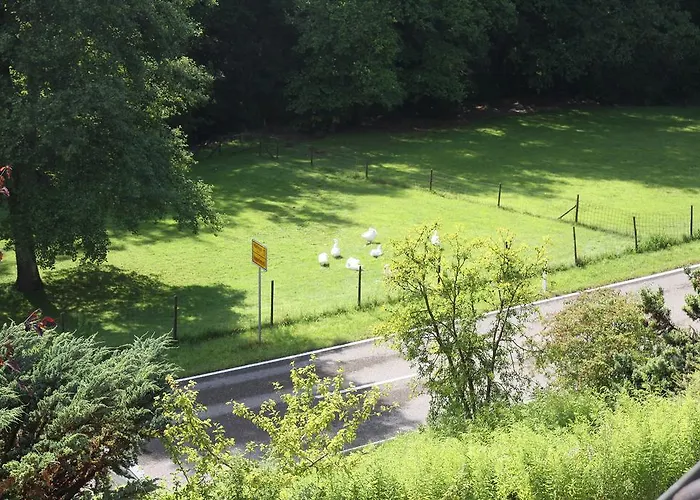 Beim Andi شقة شتوكاخ