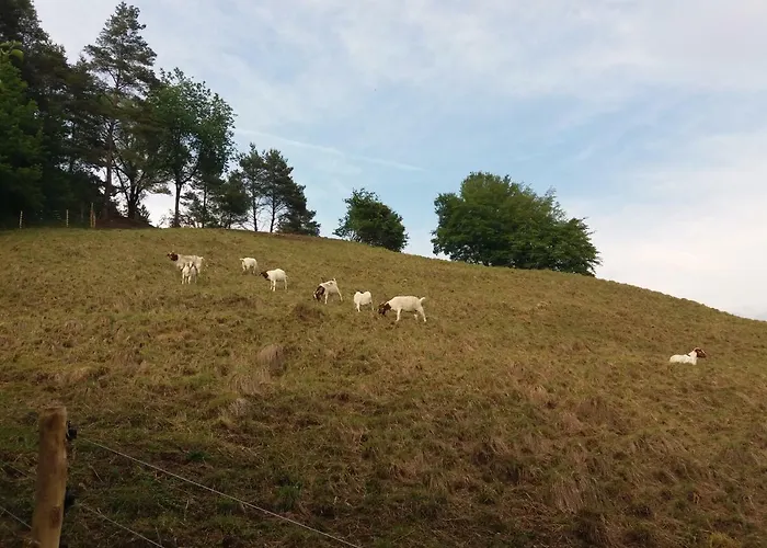 Beim Andi Apartment *