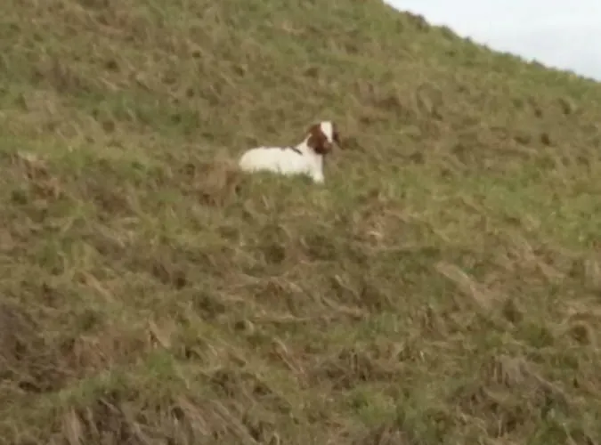 Beim Andi * Stockach